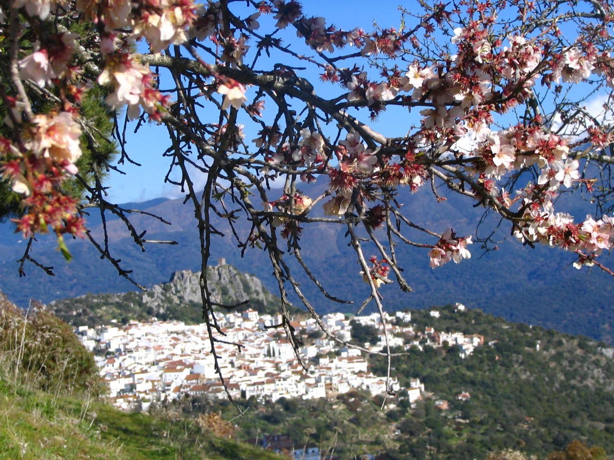 La Fructuosa Gaucín Exterior foto